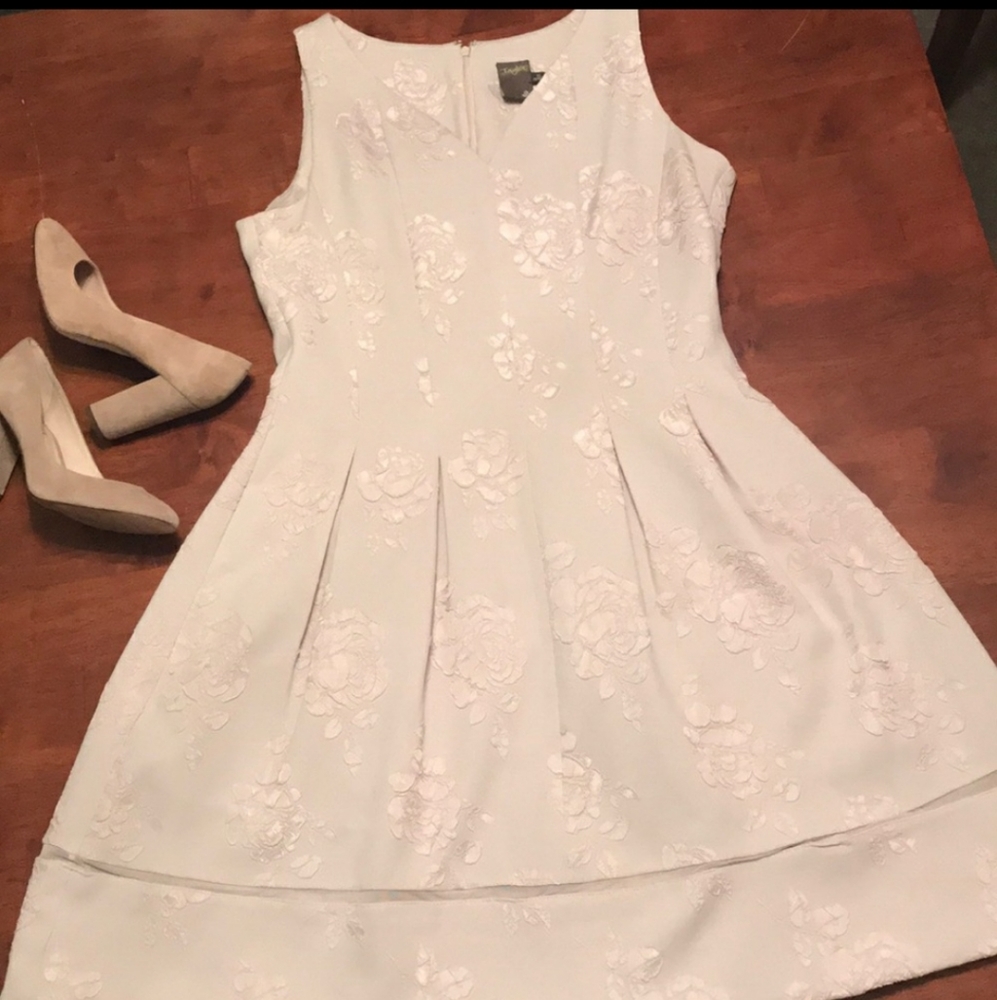 Taylor fit and flare dress